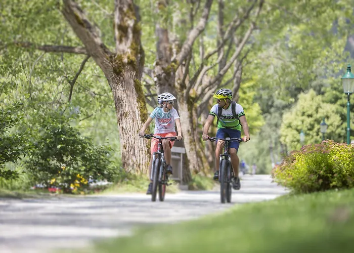 Hotel Grand Zell Am 4*